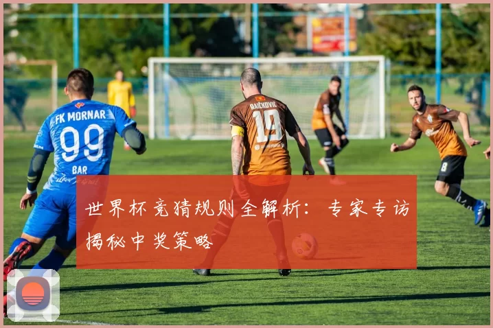 世界杯竞猜规则全解析：专家专访揭秘中奖策略