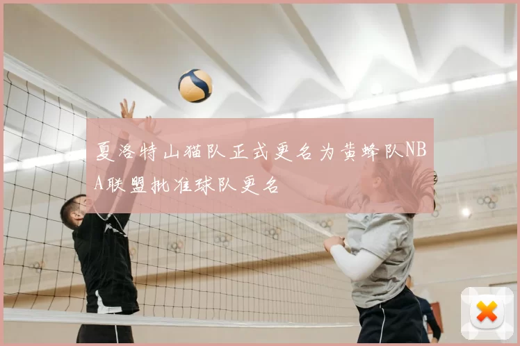 夏洛特山猫队正式更名为黄蜂队NBA联盟批准球队更名