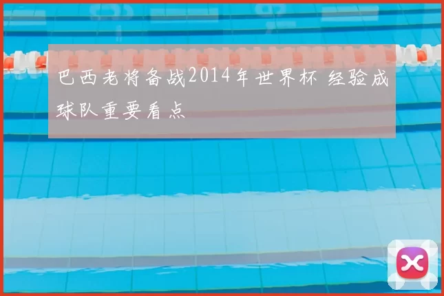 巴西老将备战2014年世界杯 经验成球队重要看点
