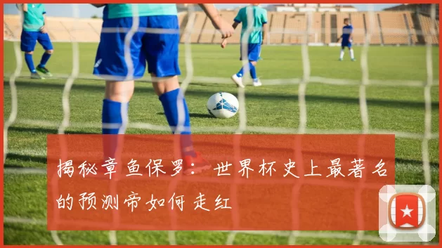 揭秘章鱼保罗:世界杯史上最著名的预测帝如何走红