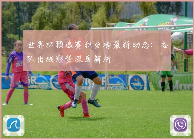 世界杯预选赛积分榜最新动态:各队出线形势深度解析
