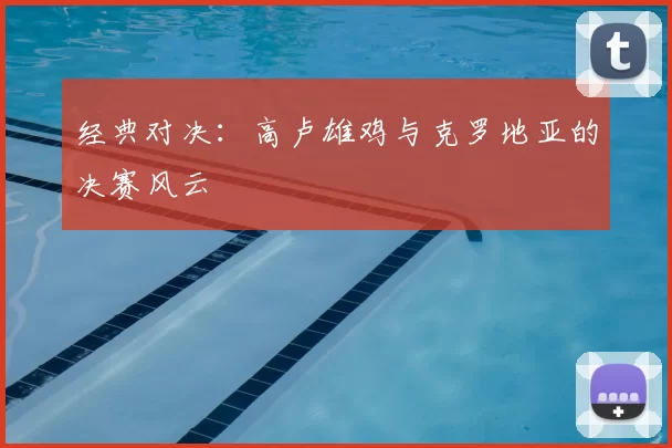 经典对决:高卢雄鸡与克罗地亚的决赛风云