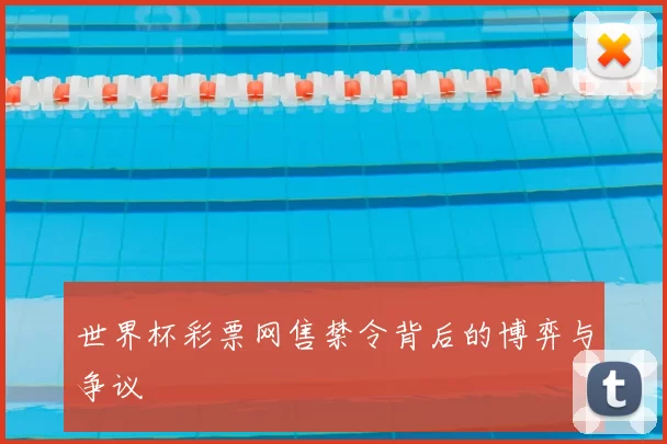世界杯彩票网售禁令背后的博弈与争议