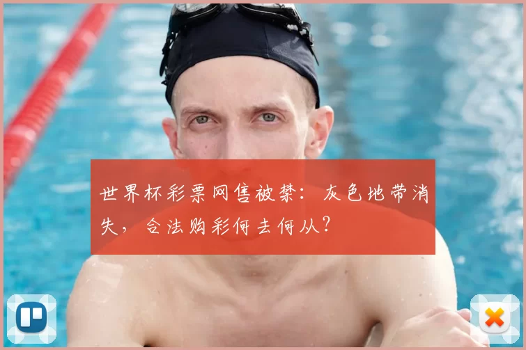 世界杯彩票网售被禁：灰色地带消失，合法购彩何去何从？