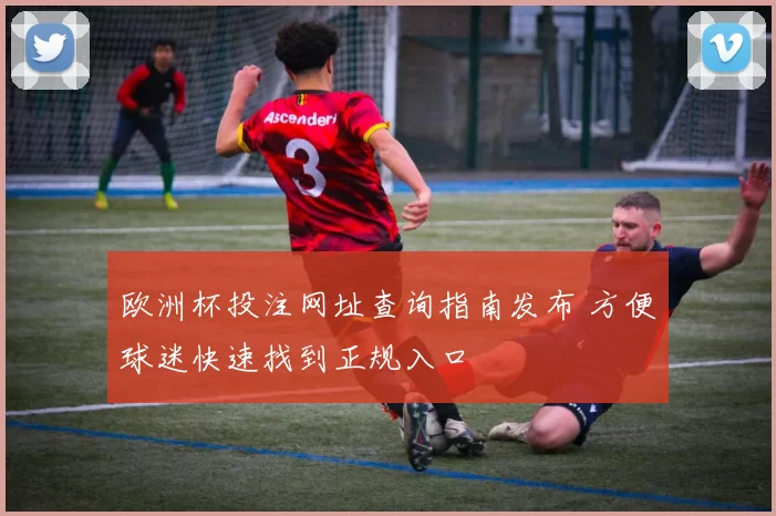 欧洲杯投注网址查询指南发布 方便球迷快速找到正规入口