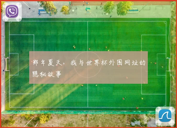 那年夏天,我与世界杯外围网址的隐秘故事