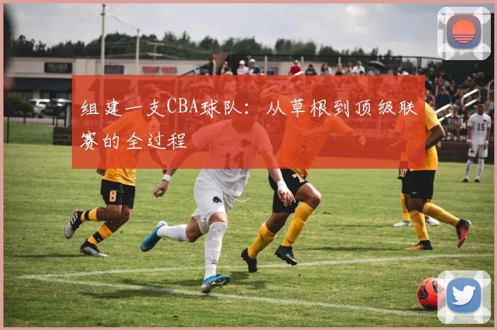 组建一支CBA球队:从草根到顶级联赛的全过程