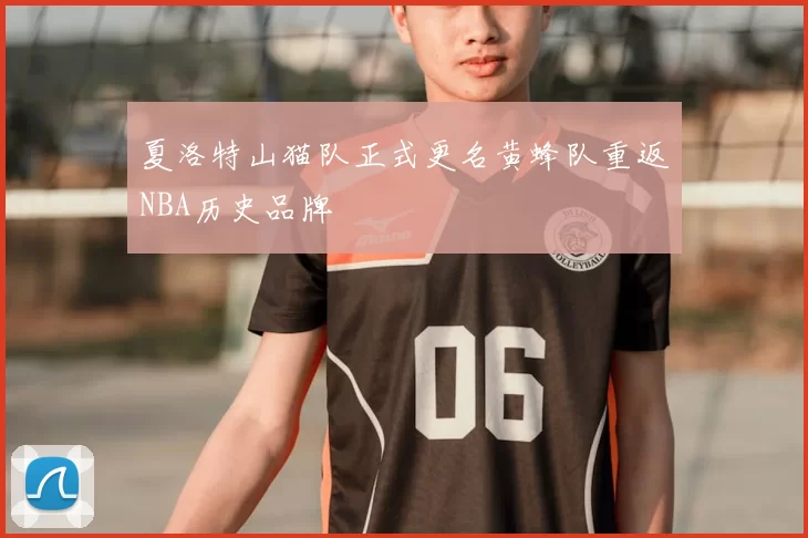 夏洛特山猫队正式更名黄蜂队重返NBA历史品牌