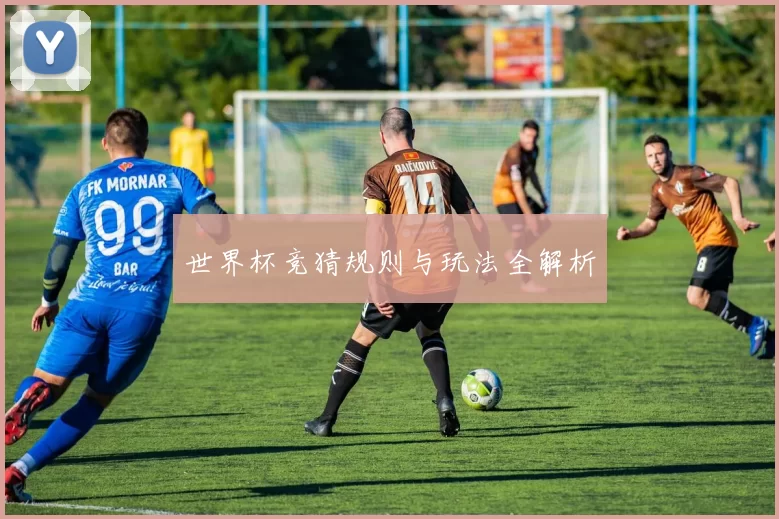 世界杯竞猜规则与玩法全解析