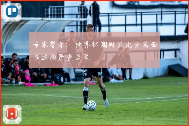 专家警示:世界杯期间买比分或面临这些严重后果