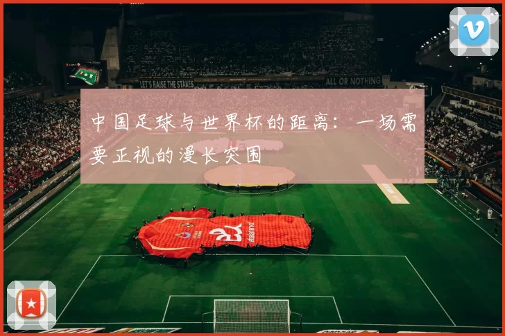 中国足球与世界杯的距离:一场需要正视的漫长突围