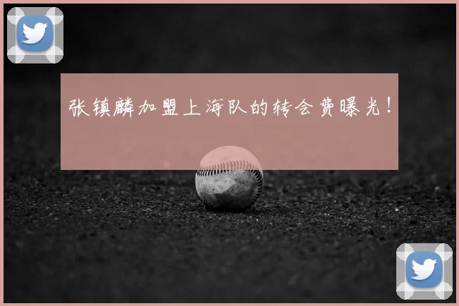 张镇麟加盟上海队的转会费曝光！