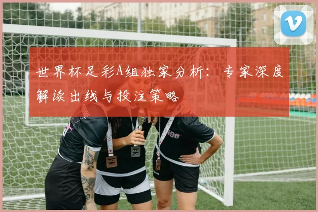 世界杯足彩A组独家分析：专家深度解读出线与投注策略