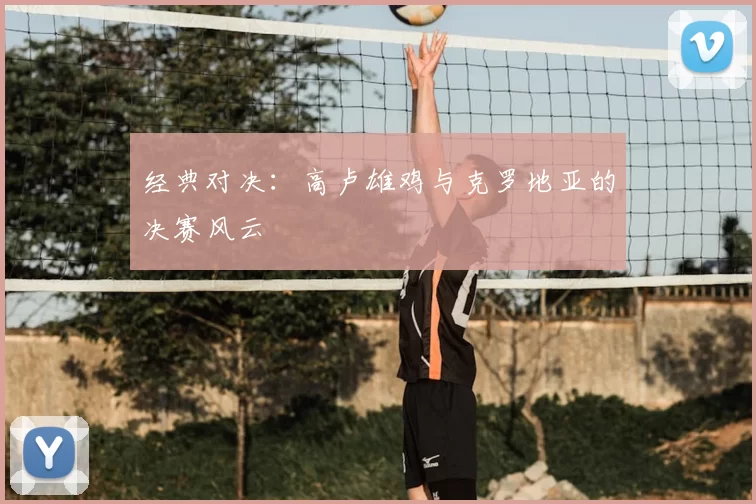 经典对决:高卢雄鸡与克罗地亚的决赛风云